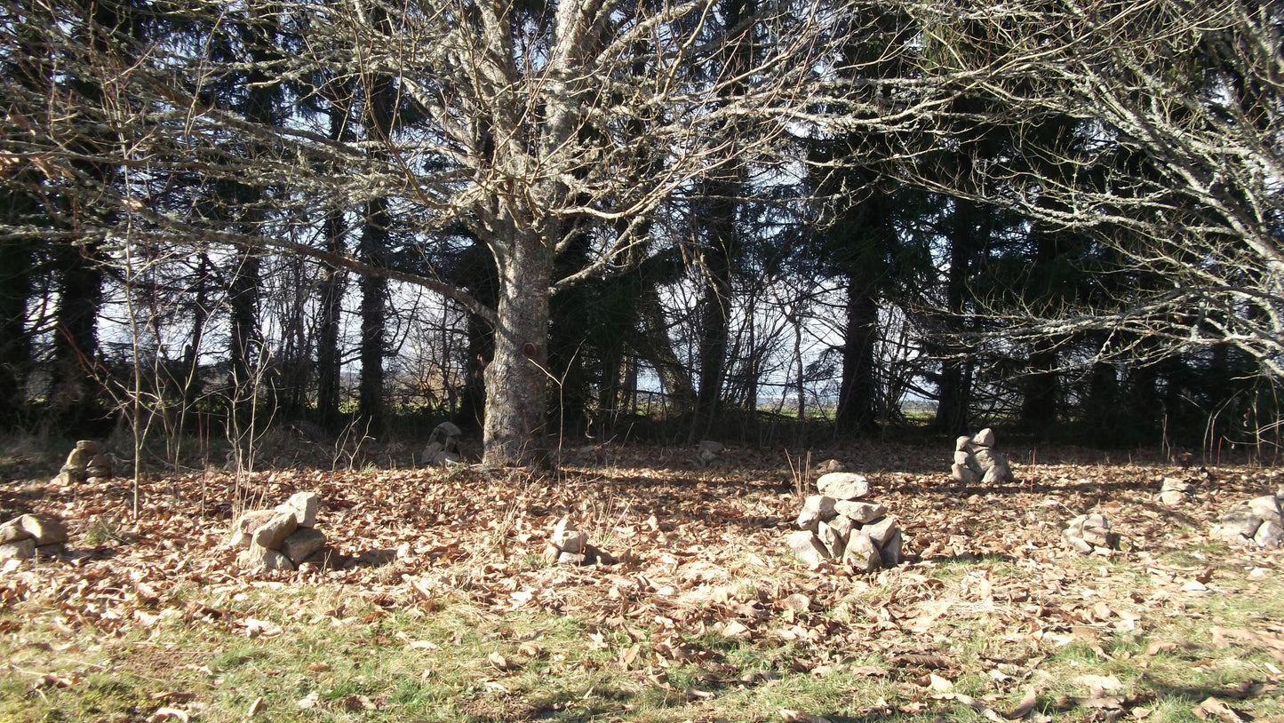 Le Jeûne Intermittent - 8 jours / 7 nuits