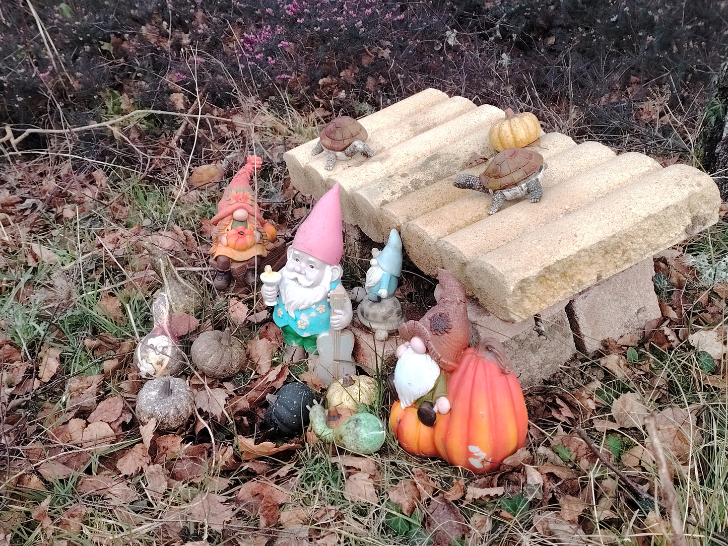 Retraite Silencieuse - 8 jours / 7 nuits