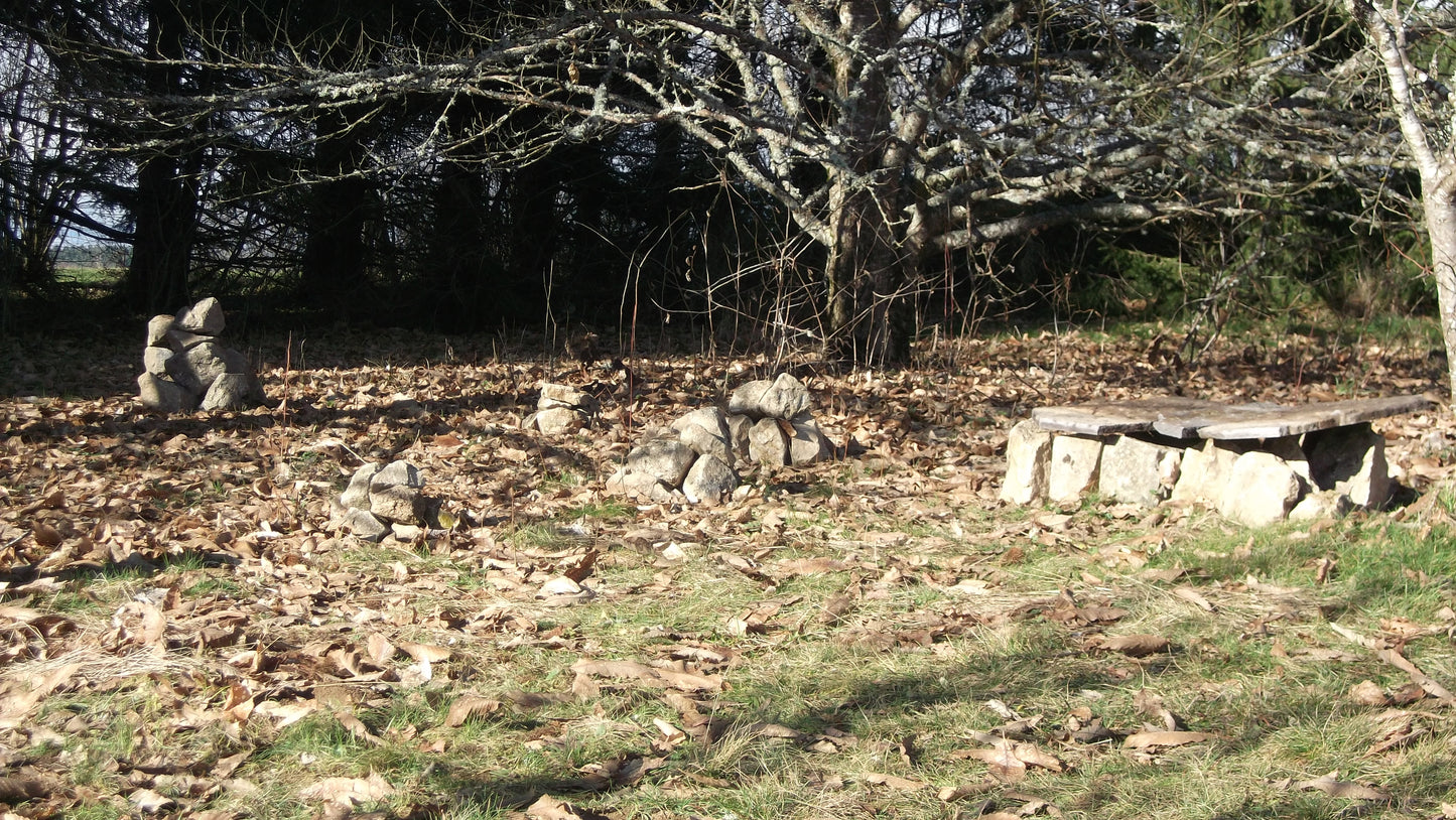 Stage de fabrication de tambour - 5 jours / 4 nuits