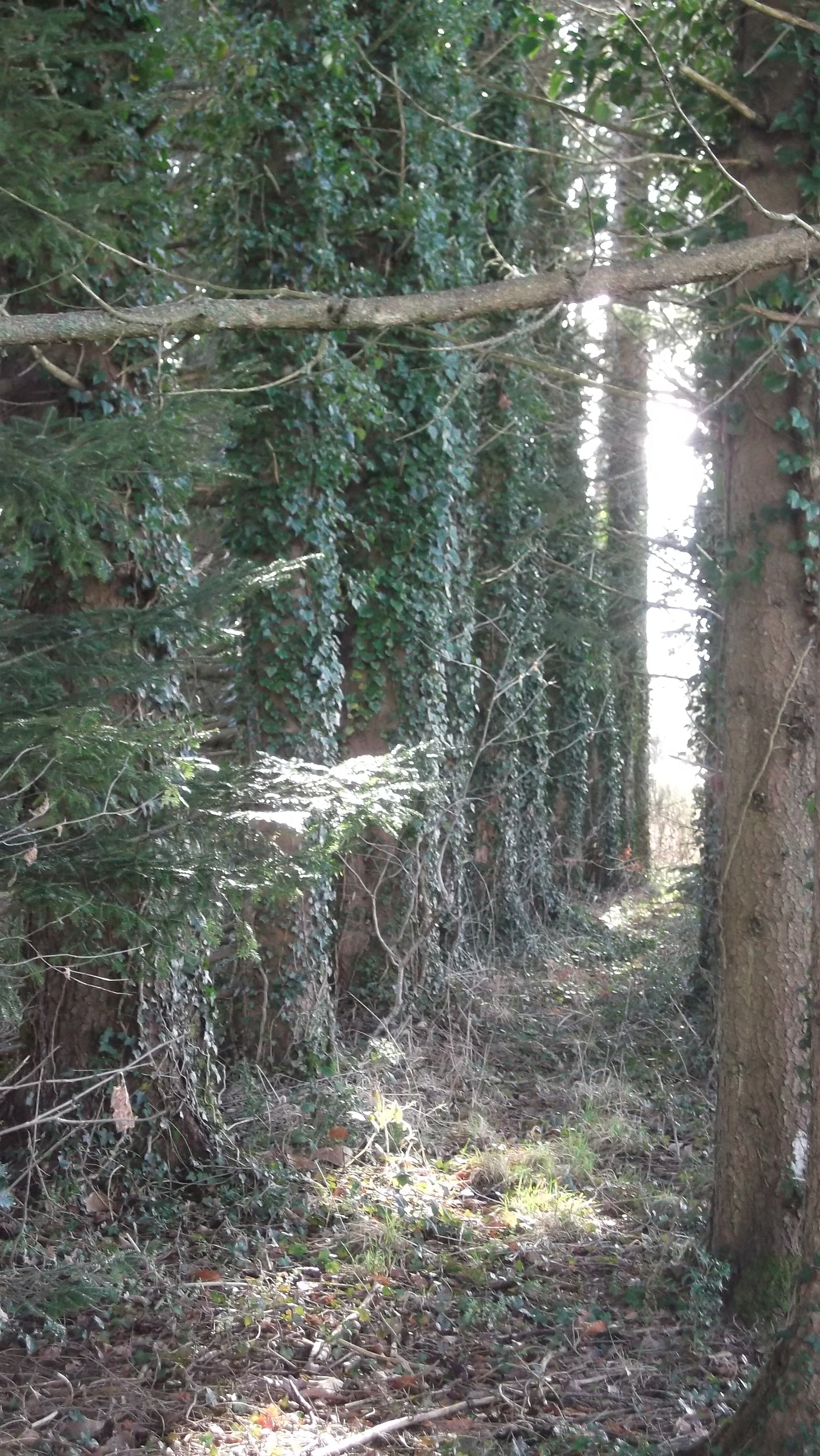 Séjour pour petits groupes