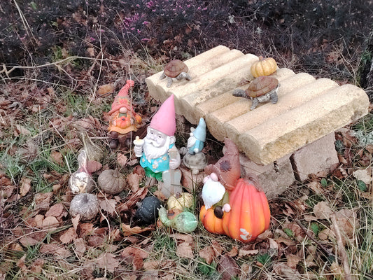 Séjour pour petits groupes