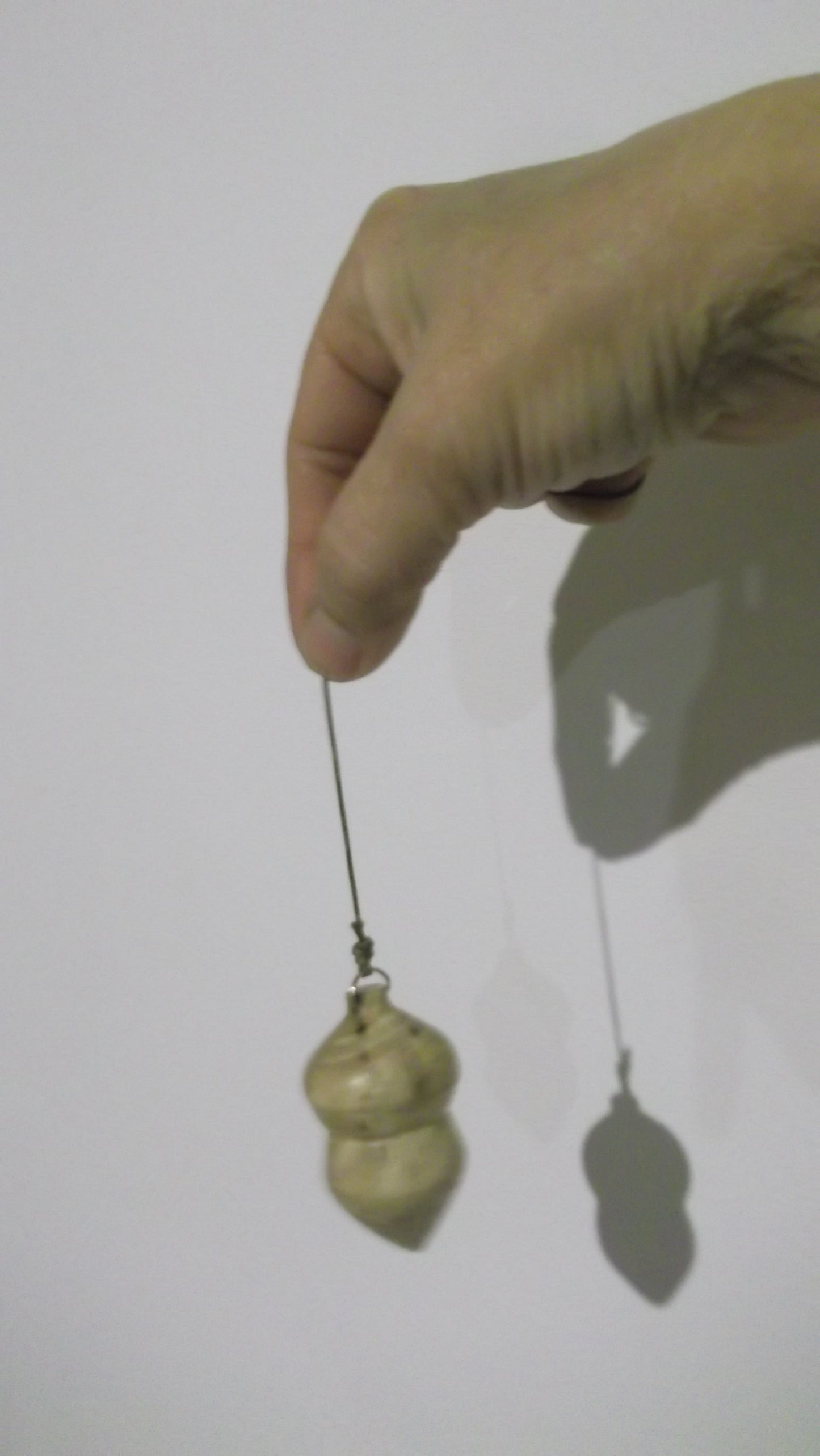 Pendule - Bois de Genêt - Forme fruit du Chêne - Pris en main