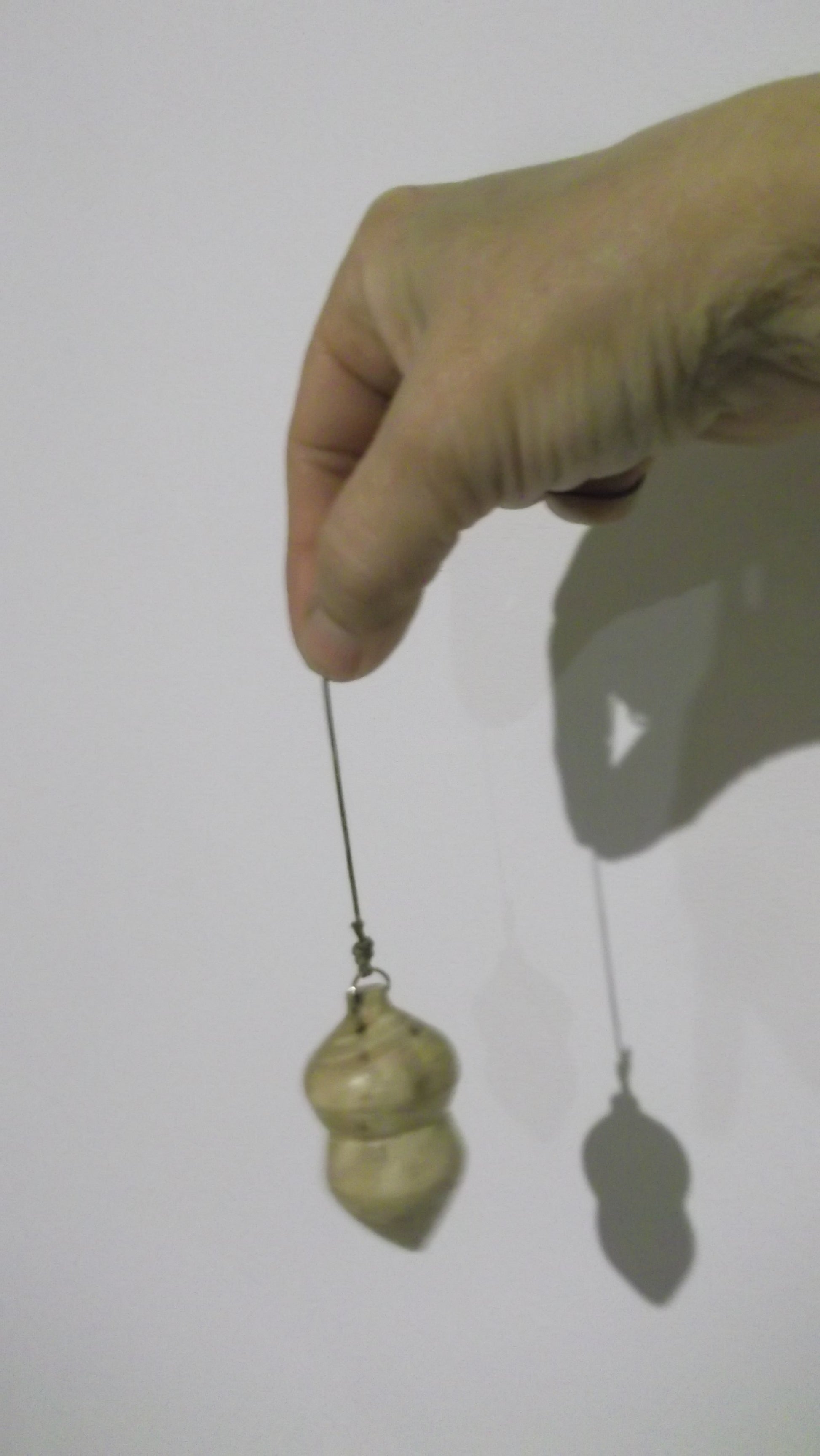 Pendule - Bois de Genêt - Forme fruit du Chêne - Pris en main