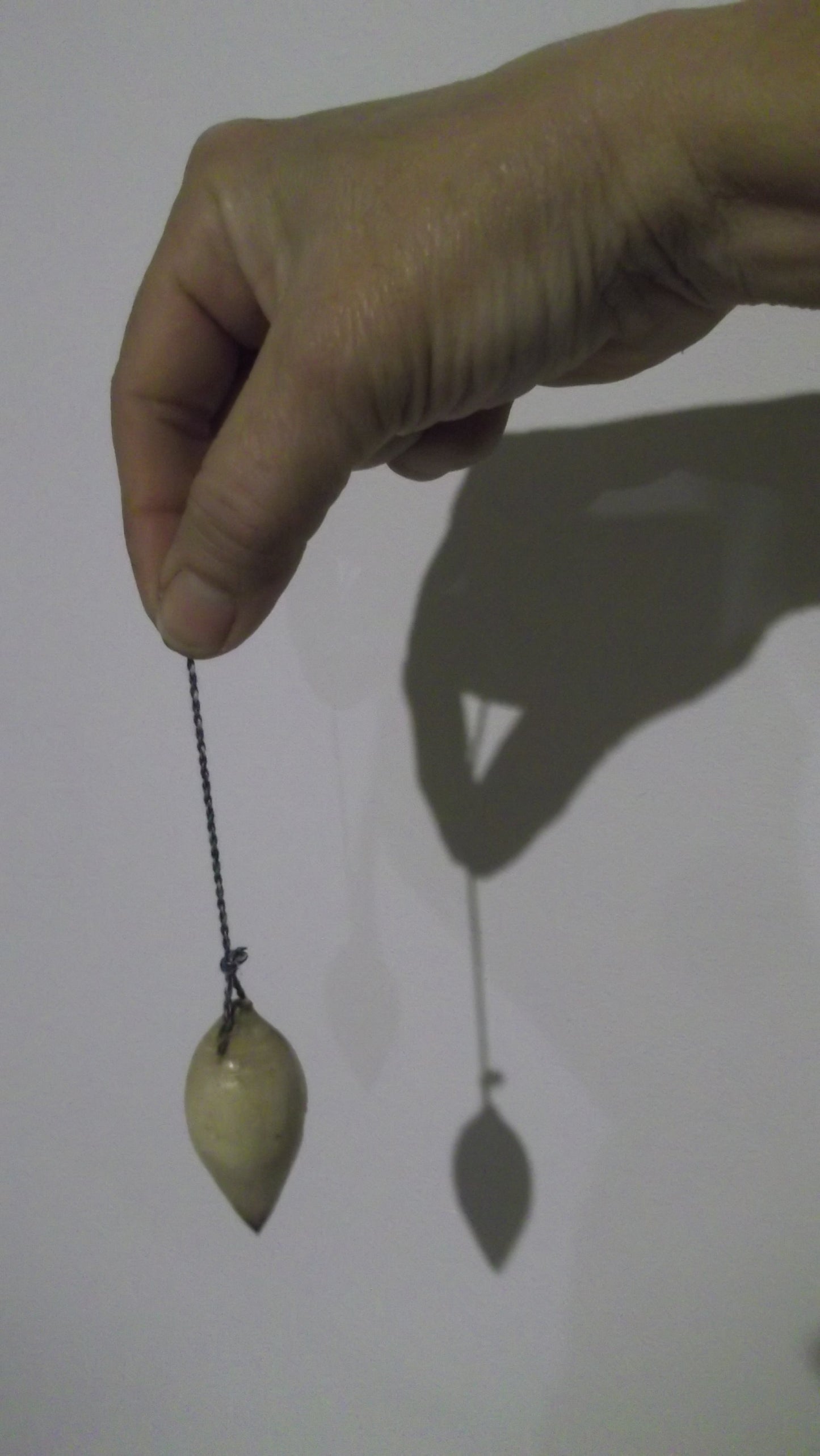 Pendule - Bois de Genêt - Forme Olive - Pris en main