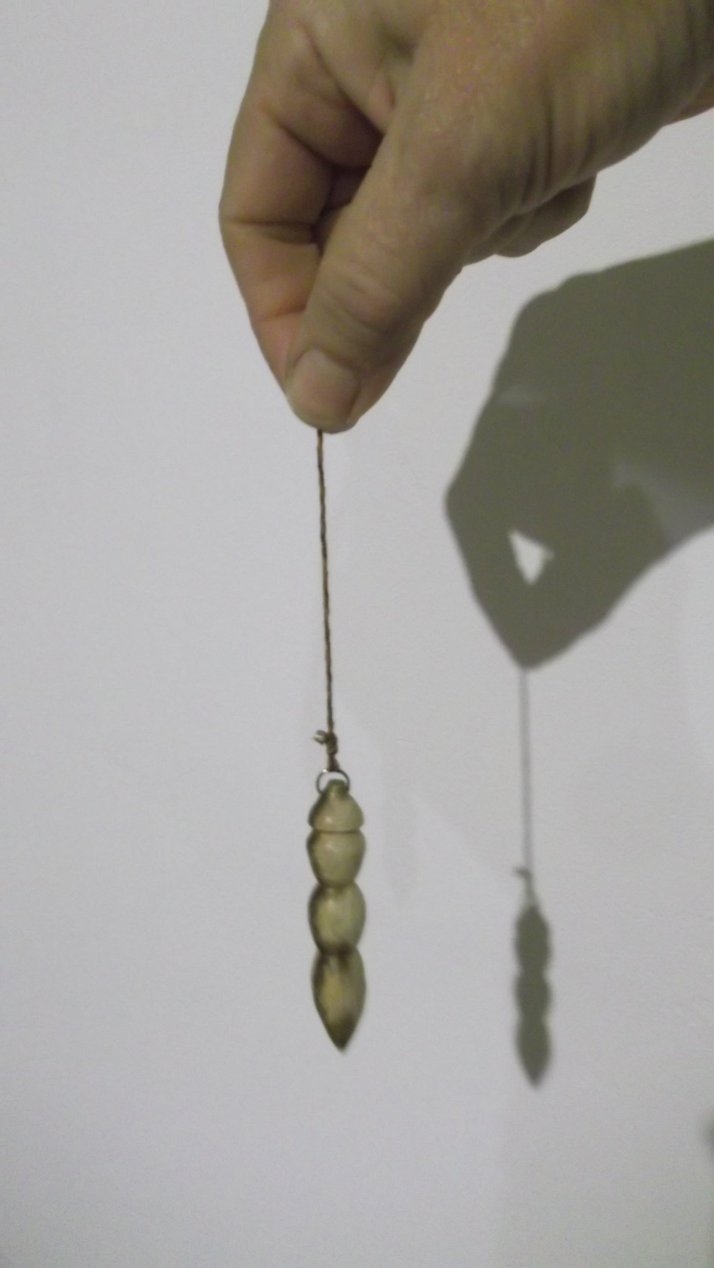 Pendule - Bois de Genêt - Petite Sophie - Pris en main